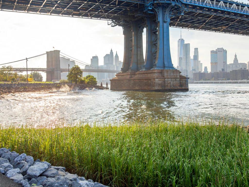 DO CONNECT TO THE NATURAL WORLD IN JUST A FEW STEPS AT BROOKLYN BRIDGE PARK, SPANNING 85 ACRES OF THE EAST RIVER