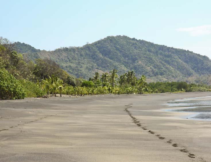 Jewel of the Azuero Peninsula The drivers for demand in Cambutal are clearly in the form of retirees (US, European, and Canadian) looking for more reasonably price real estate than found in developed