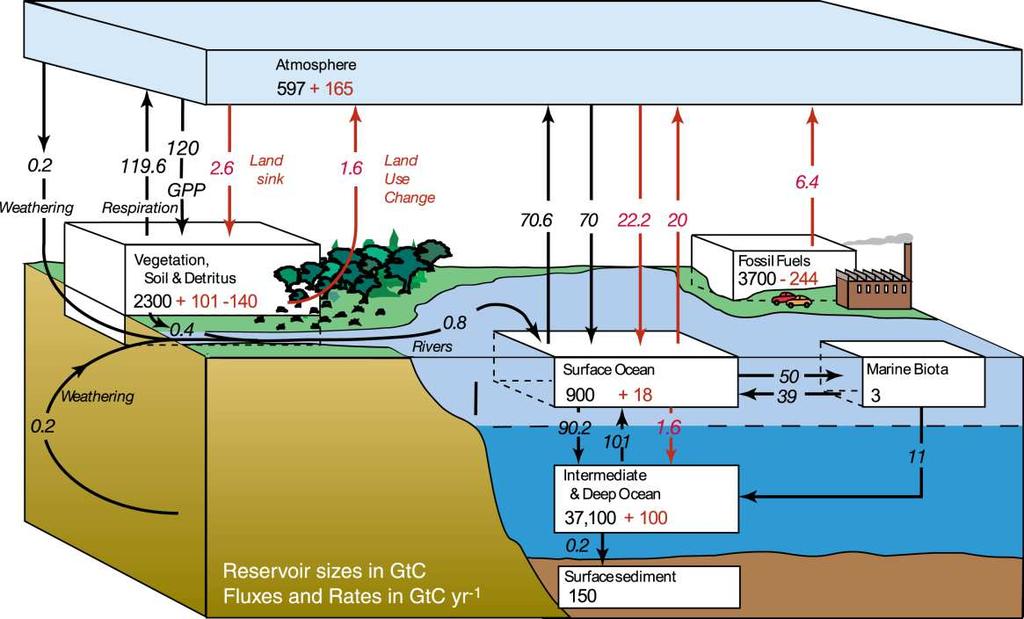 Introduction: Inland waters in global C cycle The global carbon cycle Major carbon reservoirs Atmosphere Biosphere Ocean