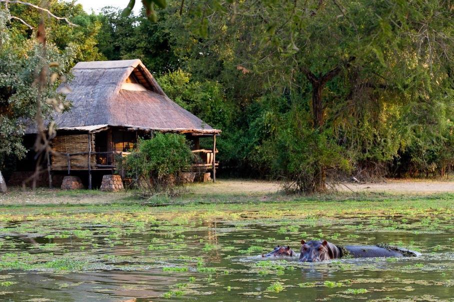 Enjoy a treatment while listening to the chorus of hippos in the lagoon by the spa!