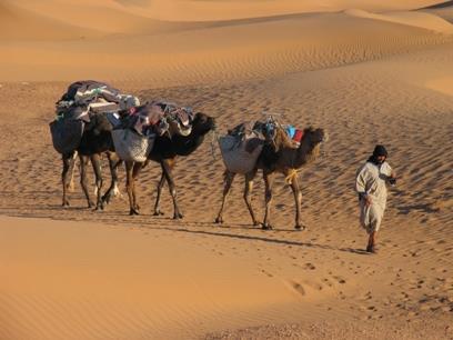 With proud Berbers as our guides and a small caravan of camels to carry our supplies, we trek through this remarkably varied and stunning landscape.