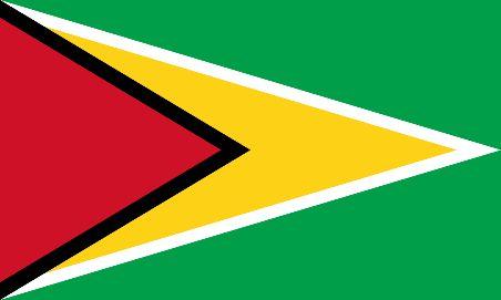 GUYANA : PUBLIC POLICIES FOR THE PROMOTION OF EXPORTS AND NATIONAL EXPERIENCES FOR THE INTERNATIONALIZATION OF SMALL AND
