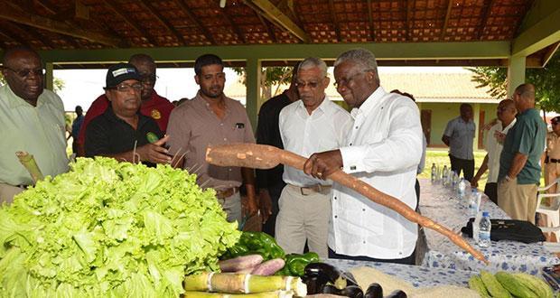 SANTA FE: A MODEL OF SUCCESS PRESIDENT David Granger and Barbados Prime Minister Freundel Stuart visited the Santa Fe Mega Farm located in the North Rupununi, Upper