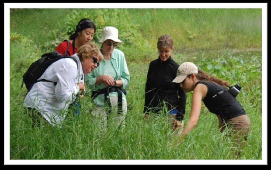 Be a Part of the Wilsons Lake Conservation Lands Legacy There are many ways to part of this conservation legacy, from participating in an educational field trip to the site, to volunteering as a