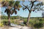 Skidaway Island Savannah 912.598.2300 Located near historic Savannah, this barrier island has both salt and fresh water with estuaries and marshes flowing through it.
