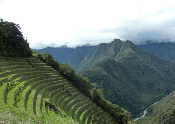 Views of terraces in the