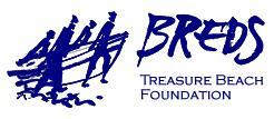 Community organisations in Treasure Beach 1980s: Treasure Beach Citizen s Association: a