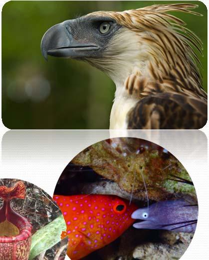 the world s biodiversity resources Partnerships for