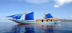 On arrival in Kelor Island, directly for swimming, snorkeling and relaxing in unspoiled coral reef many species of fish and afterward, we will continue to Rinca Island.