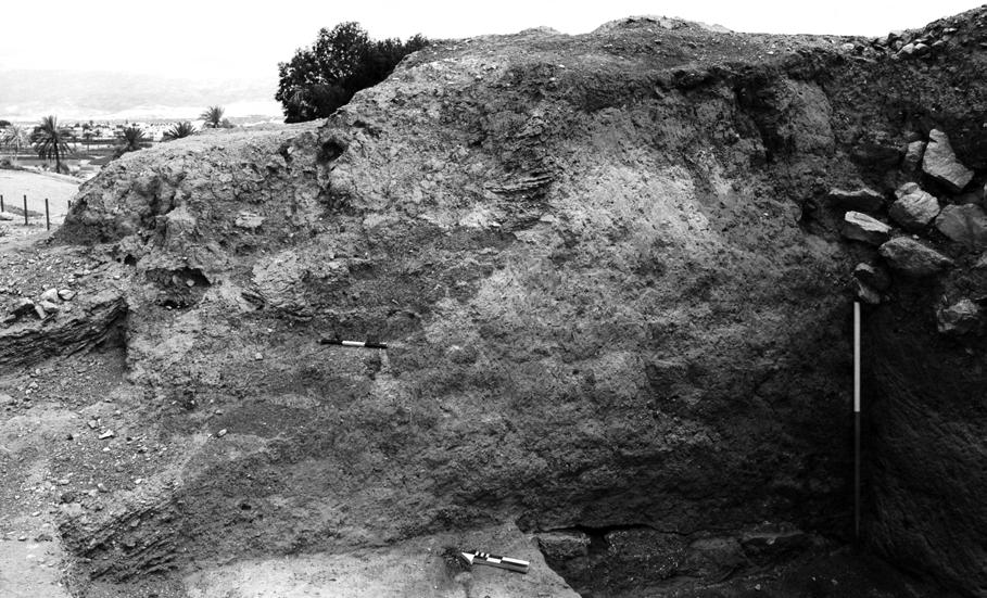 Wall W.2 (in the middle), and the blind room excavated in between it and the Outer Wall, filled in with whitish marl (to the right). Fig.