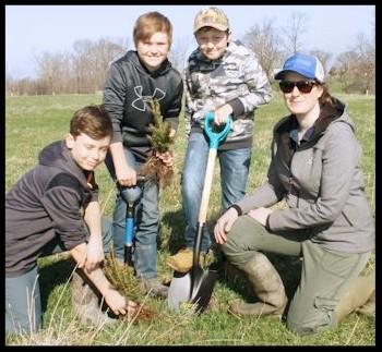 Above: Members of the 4H Ripley Conservation Club plant white spruce with