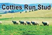 78 Stud Breeders Guide - Sheep - Southdown - Cont d STUD BREEDERS GUIDE Sheep - Southdown - Cont d Gower Batlow PO Box 118...6949 1424 Myola Park Lake Innes 130 Aponie Rd.