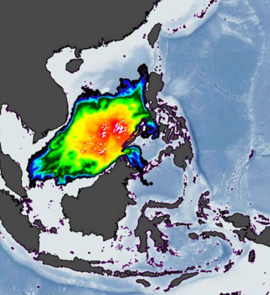Connectivity Healthy coral reefs in the South China Sea are important for the productivity of neighboring marginal seas, through larval connectivity Present-day oceanographic conditions