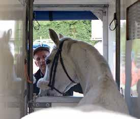 Global Leaders in Animal Transportation In-flight Equipment Innovation is the leading equine, livestock and exotics transport and charter specialist.