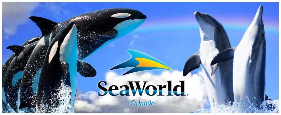 Overnight at the Hotel DAY -7: Day at Sea World Today after delicious Breakfast at the Hotel take One-day Universal Studio experience with Base Ticket with PVT Transfers.