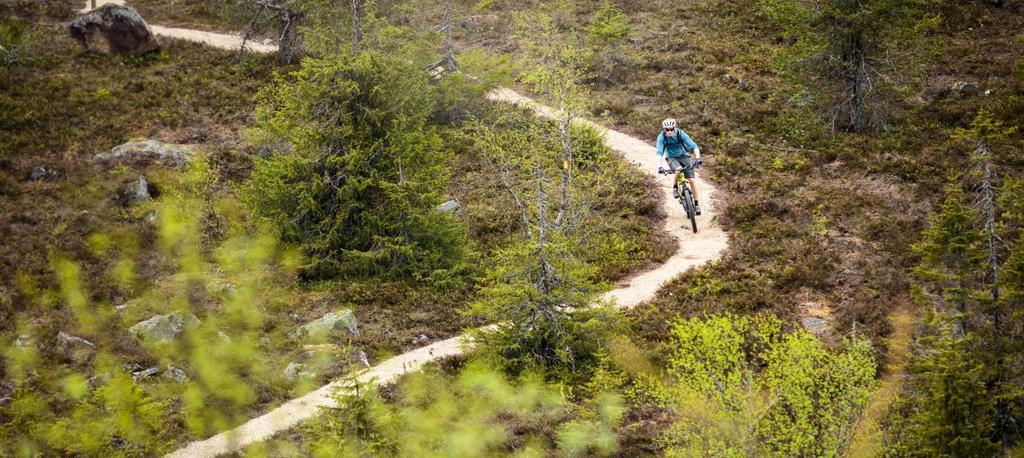 Mountain Biking in Finnish Protected Areas IMBA Europe Summit, April 2016 Development Manager