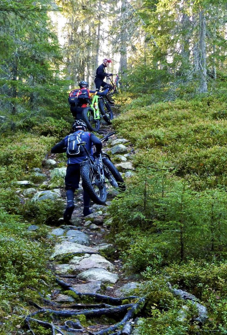 Current issues & challenges Are electric assisted mountain bikes welcome in protected areas?