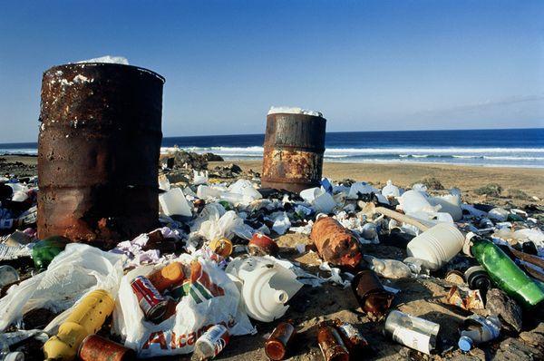 Litter ends up as marine debris.