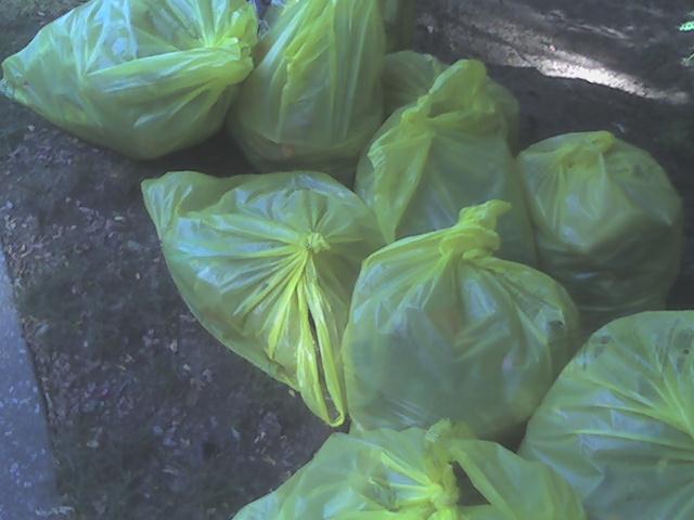 picked up 10 bags.
