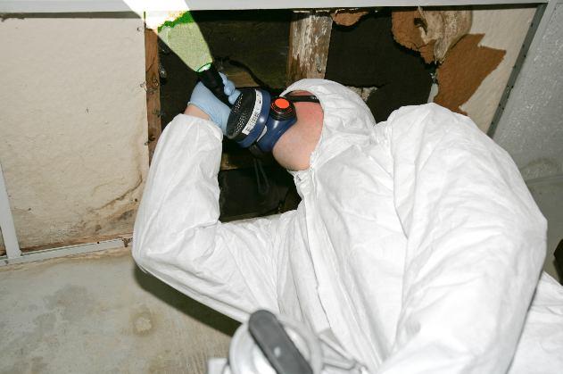 BOHS P407 Managing Asbestos in Premises Course price: Exam price: Duration of course: 525 + vat includes lunch and refreshments each day 120.