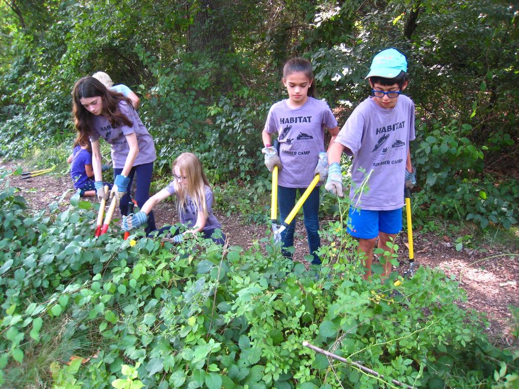 ABOUT CAMP Habitat Nature Day Camp has been engaging children since 1974.