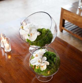 Cylinders with moss grass and orchid flowers, based on