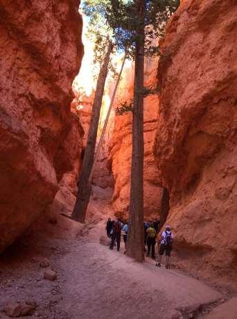 Explore Zion s unforgettable mountains and valleys. The trip cost of $2,998 includes: 2 days and nights at Bryce National Park s lodge s cozy cabins*, walking distance to amazing views and dining.