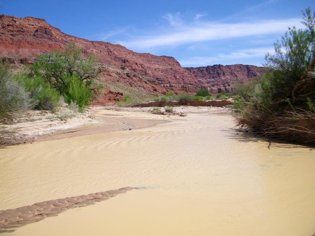 Hikers can follow the Paria River through Vermilion Cliffs National Monument and the Paria Canyon- Vermilion Cliffs Wilderness, a multi-day hike that