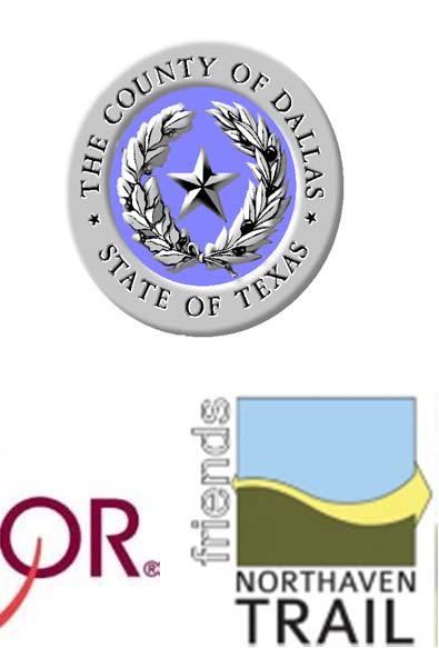 Public Works City of Dallas: Council