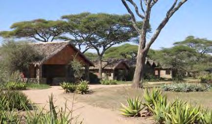 The lodge offers comfortable accommodation in a series of circular double-storey stone, wood and thatch chalets, each containing two or three separate bedrooms, which stretch along the escarpment.