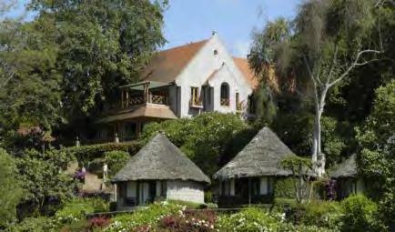 The Ngorongoro Serena Lodge is a largish lodge situated on the south-west side of the crater rim.