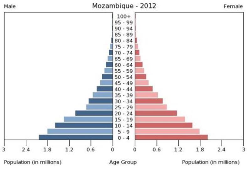 A young and growing population 2012 population estimated at 24mn and is expected to grow at 3% YOY. Median age at 16.8year.