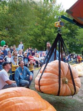 Olimpiks $ Mystical Straw Maze Pumpkin Decorating $ Fall Baking Contest $ Ribbons & Cash Prizes
