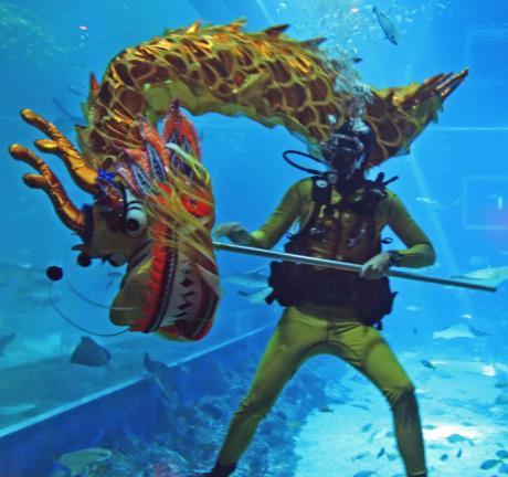 SINGAPORE, 26 January 2018 From an all-new dragon dance procession featuring favourite movie characters to Singapore s only underwater dragon dance performance amongst marine animals, guests heading