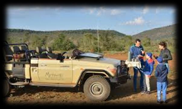 Day 4: Madikwe to Johannesburg Early Morning Meet for light refreshments, tea/coffee followed by 3-hour Game drive in open land cruiser