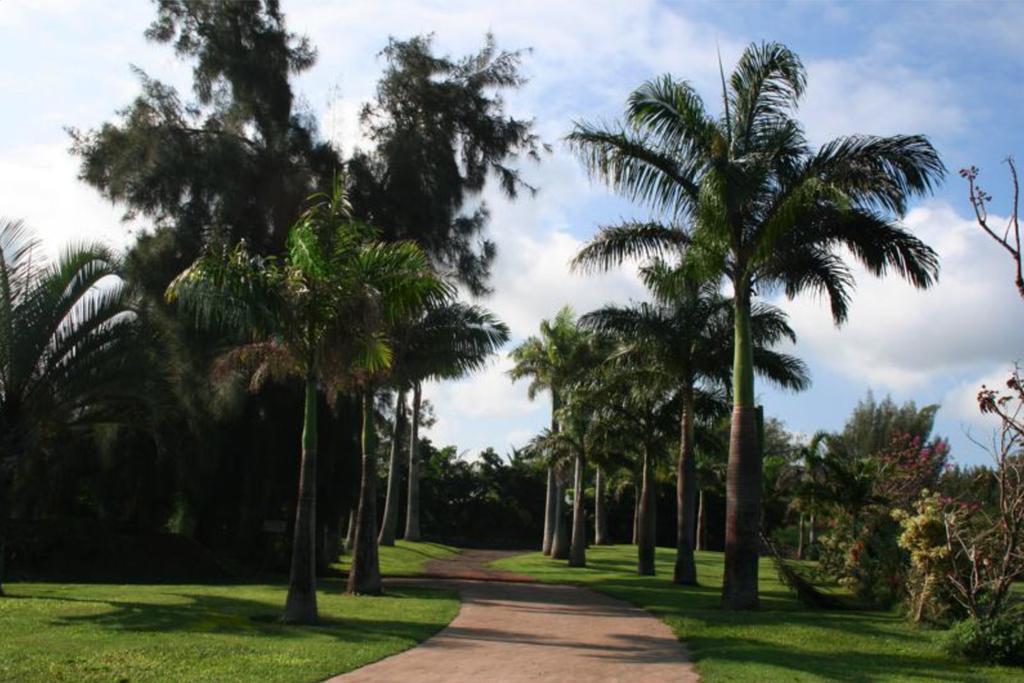 The retreat center, on the coast of North Kohala, is set among towering evergreens. It is the perfect place for living in true harmony with nature.