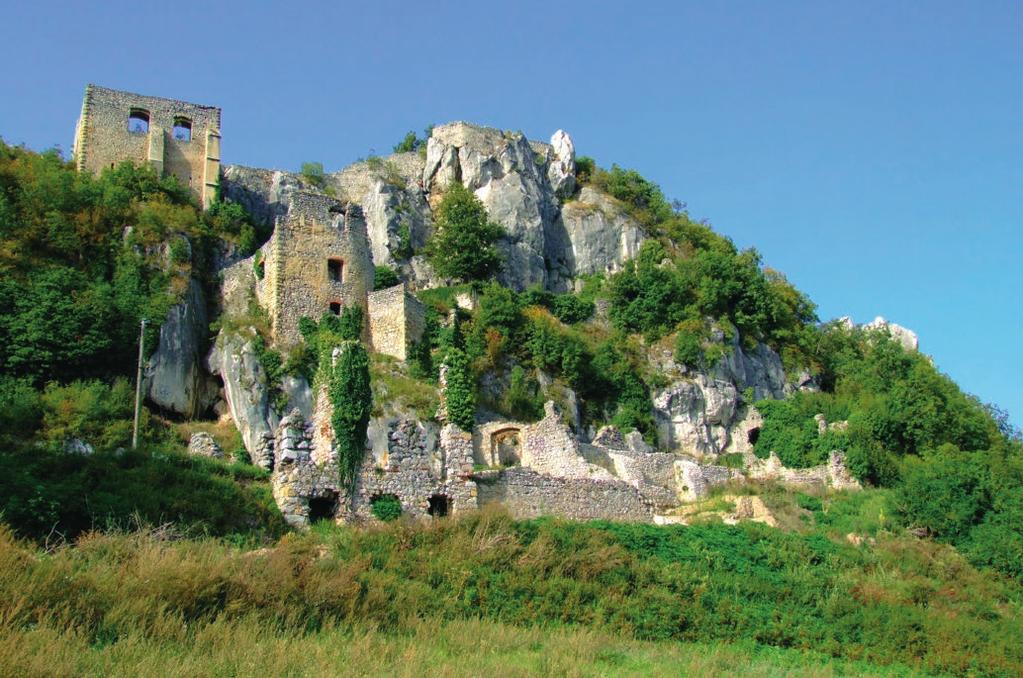 Sl. 4 Ostatci utvrde Veliki Kalnik (snimio Ozren Blagec) Fig 4.Remnants of the Veliki Kalnik fortress (photographed by Ozren Blagec) a na posjedu Ljubešćica 31 svega 6 selišta.