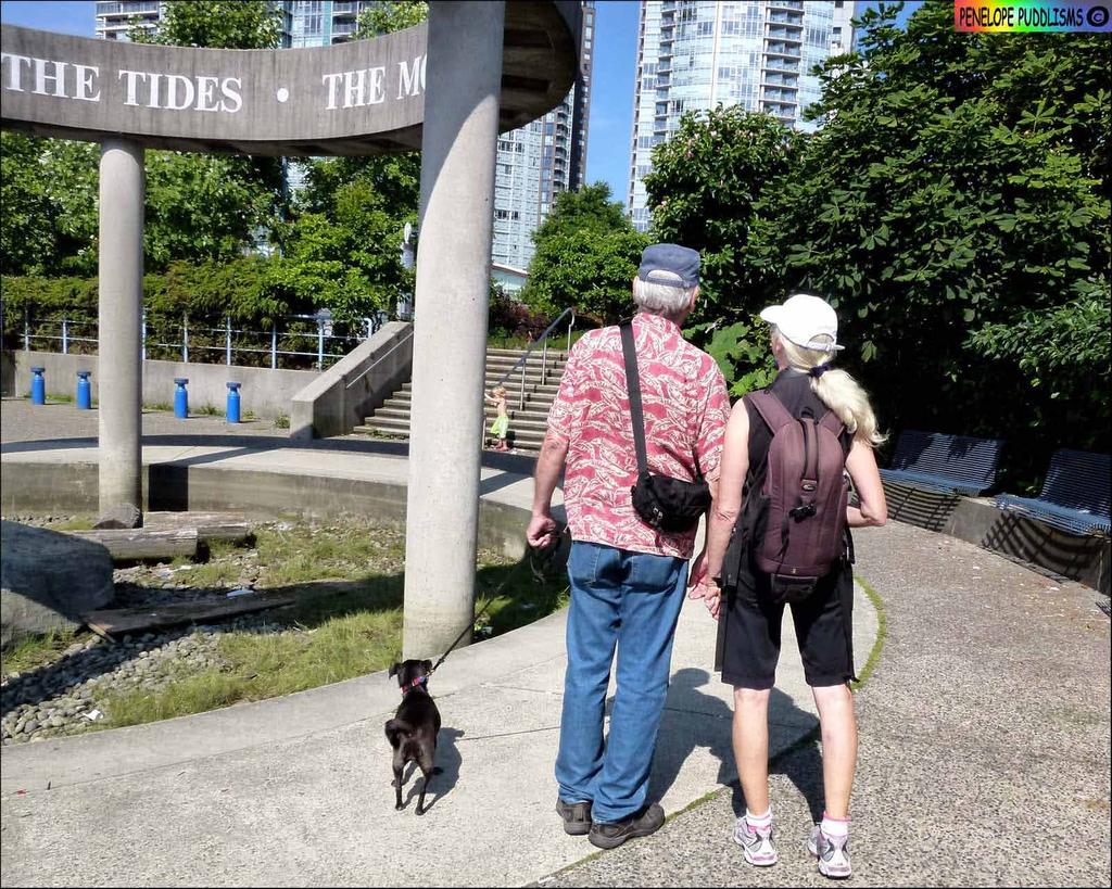 Because Cycling and walking are encouraged in False Creek, human scale is a primary scale for False Creek.