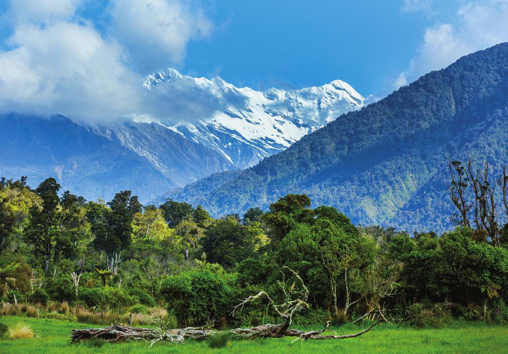 We spend two nights in splendid Westland Tai Poutini National Park.