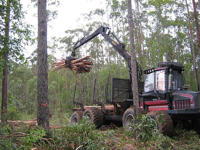 Tree Farmer of the Year Sponsorship The Australian Forest Growers (AFG) Tree Farmer of the Year Award honours and acknowledges landowners or private forest managers who, by their personal efforts,