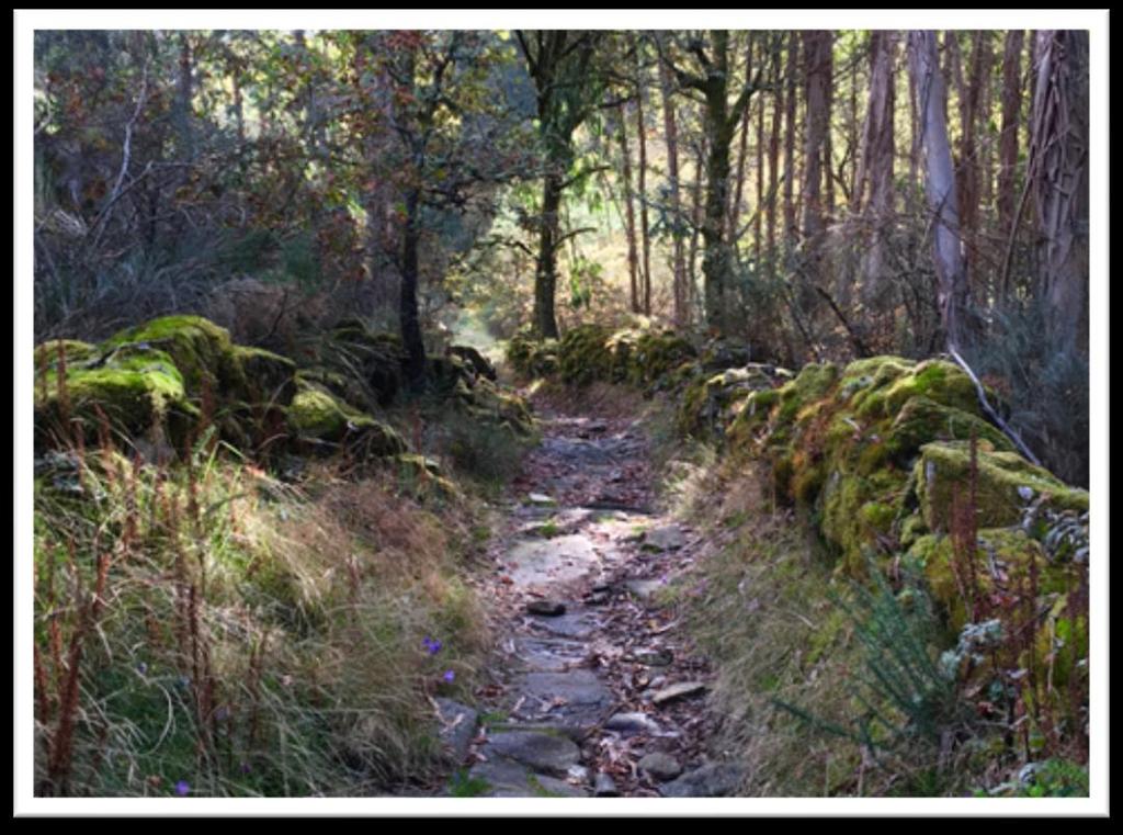 A SPIRITUALLY GUIDED CAMINO WITH MARGARET CAFFYN And KATY-K (world renowned psychic and