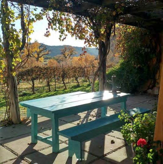 This followed by lunch and a tasting at Sutcliffe Vineyards which is conveniently located just minutes away from Sand Canyon trail head, returning back to