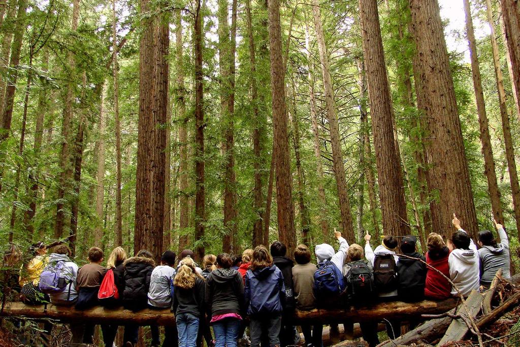 Campers live a day in the life of indigenous California tribes, with the cooperative efforts of our LITs, and also experience the forest from the animals point of view.