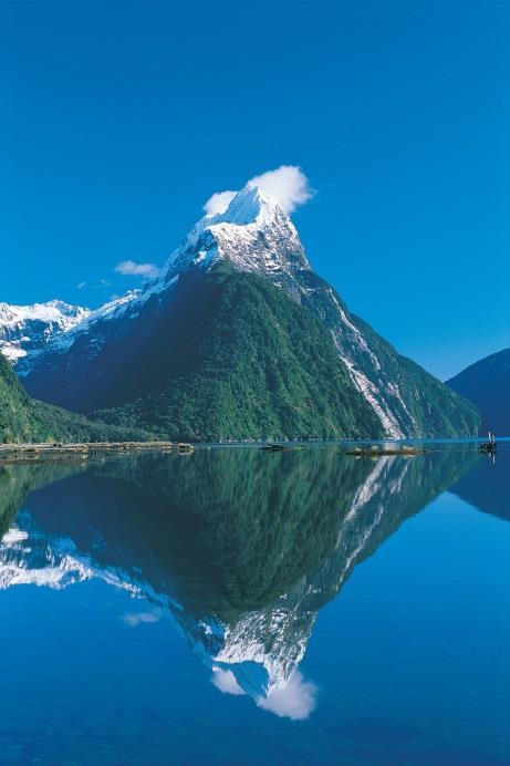 Journey along Milford Road, then cruise the full length of tranquil Milford Sound.
