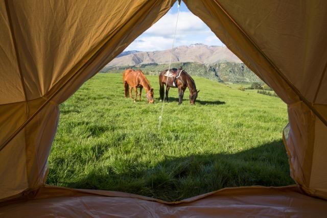 Our personal camp will deliver you inspiring scenery within the South Island of New Zealand.