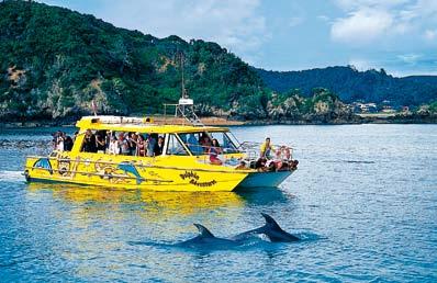 Scenic FreeChoice creating flexible touring Punting on the Avon River, Christchurch Jet boat ride through the Shotover Canyon, Queenstown Swim with Dophins, Bay of Islands Our exclusive Scenic
