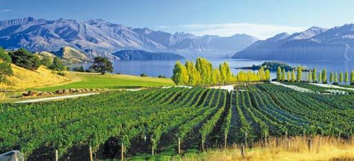 20 Day Royal New Zealand fully escorted premium touring Lake Wanaka 20 day tour highlights include: SCENICFREECHOICE Scenic FreeChoice Inclusions in Auckland, Bay of Islands, Rotorua, Queenstown and