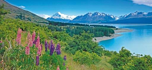 26 Day Ultimate New Zealand fully escorted premium touring Mount Cook and Lake Pukaki 26 day tour highlights include: SCENICFREECHOICE Scenic FreeChoice Inclusions in Auckland, Bay of Islands,