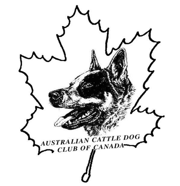 Australian Cattle Dog Club Of Canada [NATIONAL] Sun,