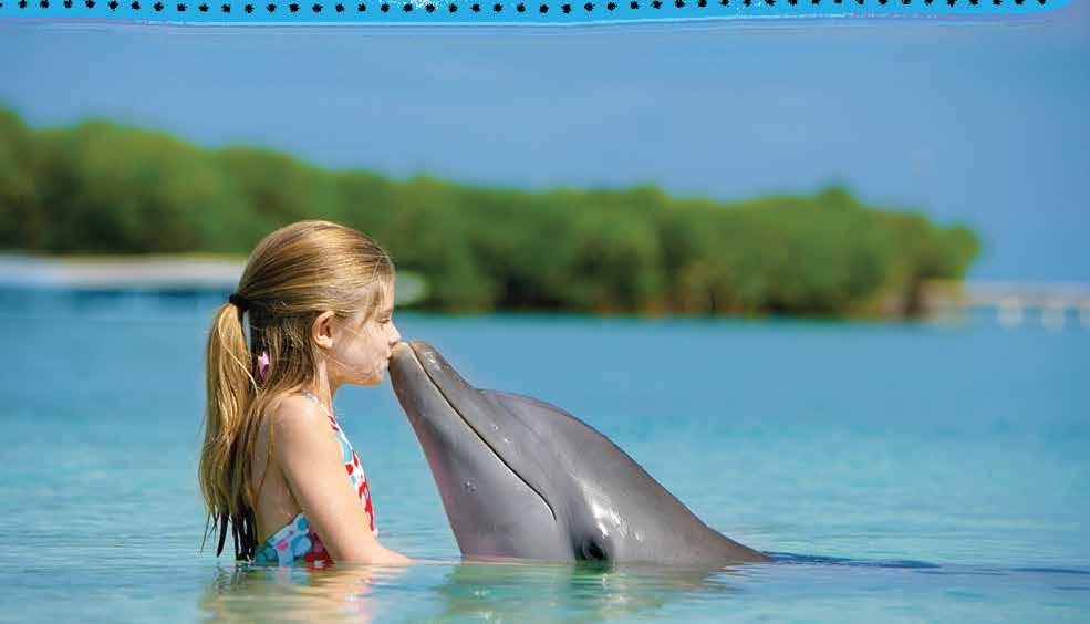 Swim with Dolphins Just a short leisurely walk from your new dream home you can participate or just watch the attraction of trained dolphins as they perform and interact with their guests